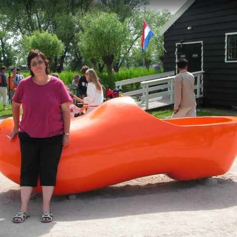 Zaanse Schans meadow